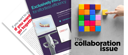 Fan Image DS Dr Issue 2 01