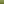 BF 2023 HOME PAGE BANNER