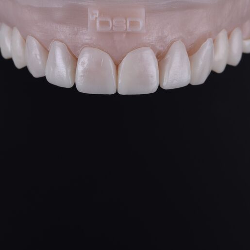 DSC 4013