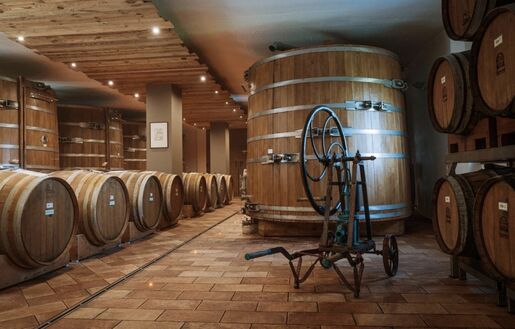 Balsamic and Vinegar experience