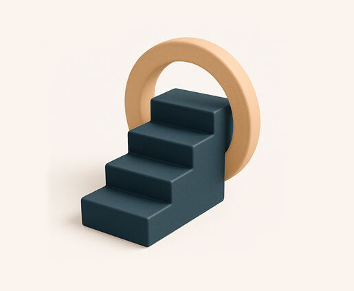 DSD COACHING OUTCOMES Purpose Driven Implementation