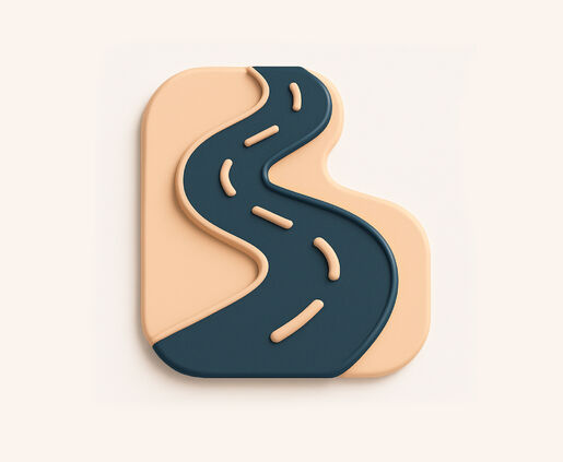 DSD COACHING OUTCOMES Structure Without Rigidity