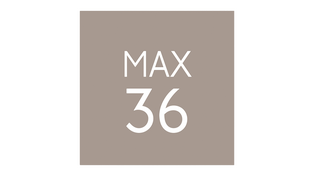 Max 36 LOGO