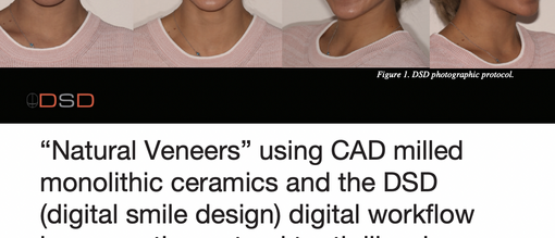 Articles by others that refer to DSD